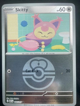 Skitty [Ball] #165 Pokemon Ascended Heroes