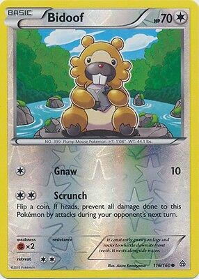 Bidoof [Reverse Holo] #116 Pokemon Primal Clash