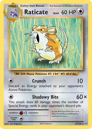 Raticate #67 Pokemon Evolutions