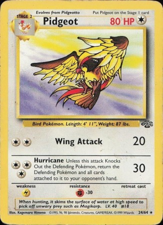 Pidgeot #24 Pokemon Jungle 